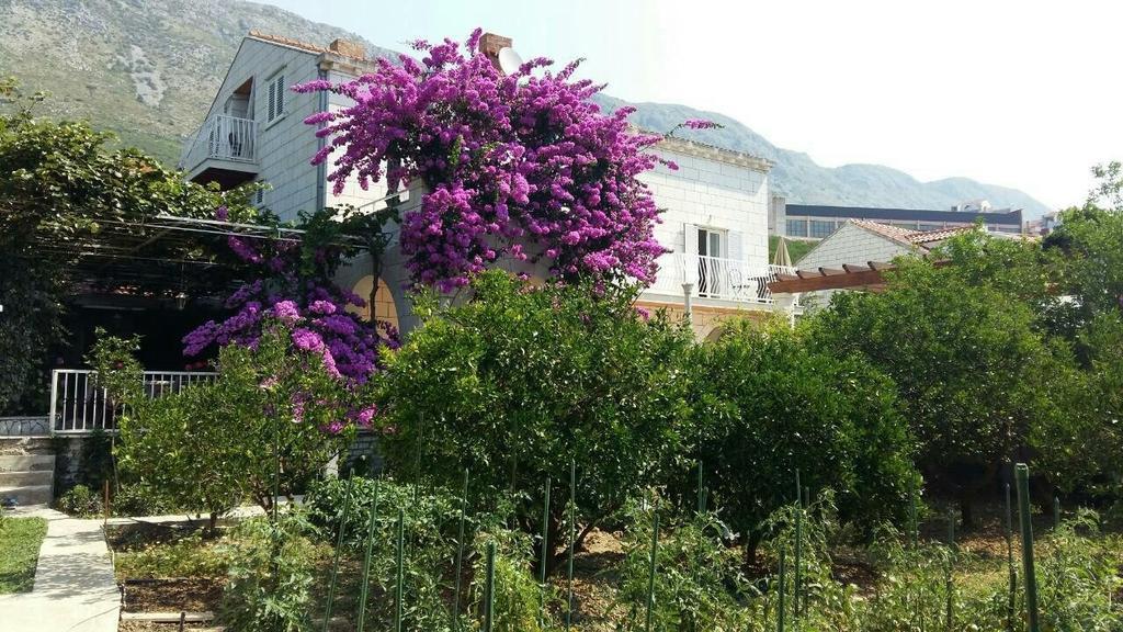 Apartments Husanovic Quận Mokošica Ngoại thất bức ảnh