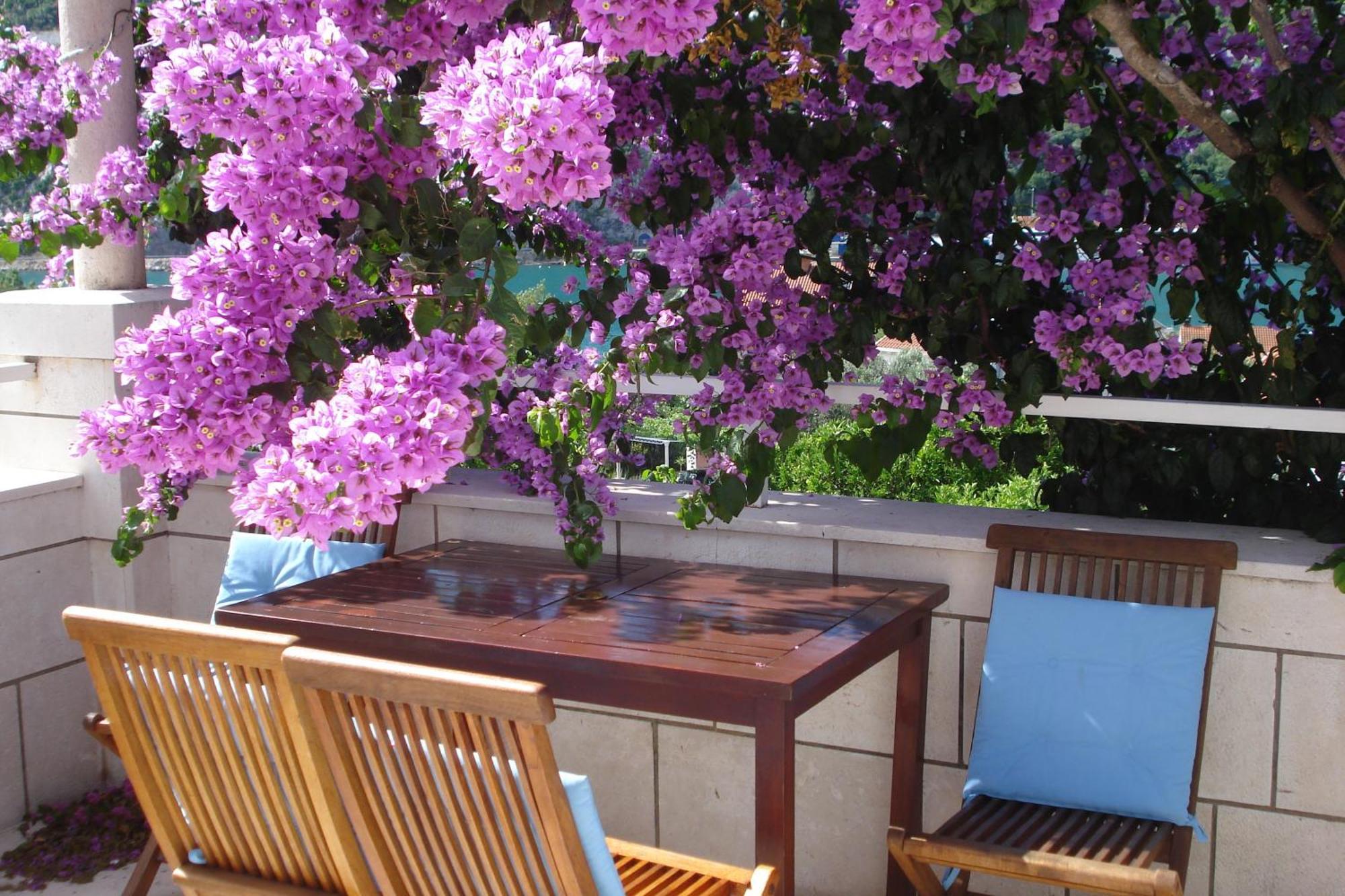 Apartments Husanovic Quận Mokošica Ngoại thất bức ảnh
