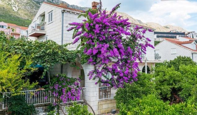 Apartments Husanovic Quận Mokošica Phòng bức ảnh